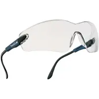 Bolle Viper Panoramische veiligheidsbril-1