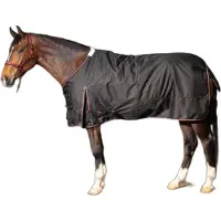 Harry's Horse Regendeken Thor 200 WI25