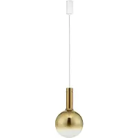 Nova Luce Hanglamp Nostos champagne glas