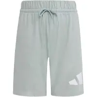 Adidas Broek jade groen / wit