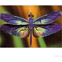 Interdruk PUZZLE - 250 STUKJES - Interdruk Puzzel Kleurrijke Natuur 3 Libelle -