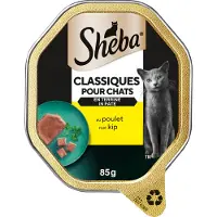 Sheba Classics paté met zalm natvoer kat (kuipjes 85 g) 22 x 85 g
