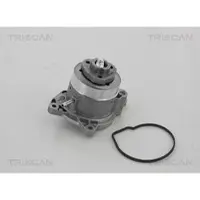 TRISCAN 8600 29056 Waterpomp