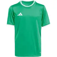 Adidas Functioneel shirt 'ENT26' groen / wit
