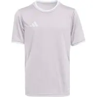 Adidas Functioneel shirt 'ENT26' stone grey / wit