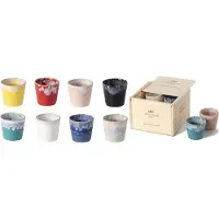 Costa Nova grespresso serie set van 8 lungo kopjes in houten gift box 210 ML - Colorful