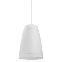 Power Dynamics Purity5W - Premium 2-weg hangluidspreker - Pendel