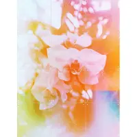 IXXI Evolve, Amber Lauder - 60 x 80 cm - Grote wanddecoratie en posters - Abstract, Kleurrijk, Fotografie, Slaapkamer, Woonkamer, Botanisch, Natuur