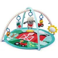 Baby einstein Touch & Feel Carpet Activities Groen Kinderen