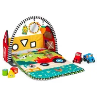 Baby einstein speelkleed Farm Explorers Busy Barnyard