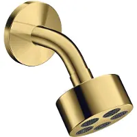 Axor One - Hoofddouche, diameter 7 cm, EcoSmart, gepolijste goudlook 48490990