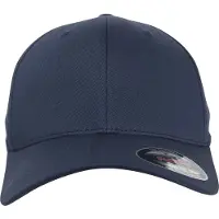 Flexfit Pet navy
