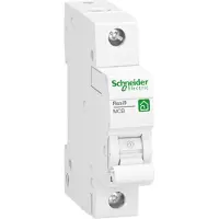 Schneider Electric R9F27116