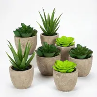 GreenDream 6 stuks Kunstplanten - Nep planten Vetplanten - Cadeautip