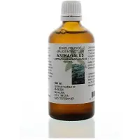 Cruydhof Astragalus membranaceus radix tinctuur