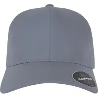 Flexfit Pet 'Delta' grijs