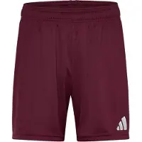Adidas Sportbroek 'ENT26' wijnrood / wit