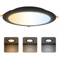 Strühm WAFEEL -LED Downlight - Inbouw Rond 18W - CCT - Aanpasbare licht kleuren - 3000K/4000K/6000K - 2450 Lumen - Mat Zwart - Ø170mm - IP54 - Binnen/Buiten