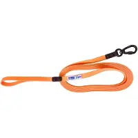 Axaeco Action Tracking Lead (5 Meter, Small carabiner)