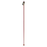 Fischer Storm Gtx S Stokken