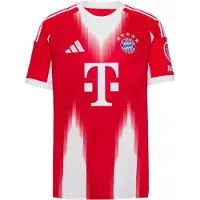 Adidas Tricot 'FC Bayern München 2025/2026' lichtblauw / knalrood / wit