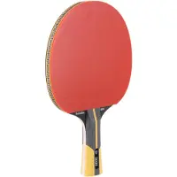 Dunlop Revolution 5000 Table Tennis Racket Rood