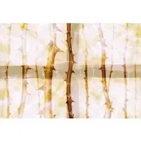 Architects Paper Fotobehang ThornArt1 DD117850 Atelier 47 | 3D Fotobehang