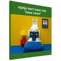 Boek met naam - nijntje leert lezen - Softcover