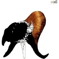 Modulor Cnt Coil - Black Antlers (2 LP) (Coloured Vinyl)