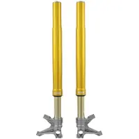 Öhlins Fgr200 Ducati V4 Panigale 2018-2024/v4r Panigale 2025 Voorvork