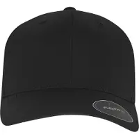 Flexfit Pet zwart