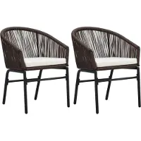 Syfax Tuinstoelen 2 st PE-rattan bruin