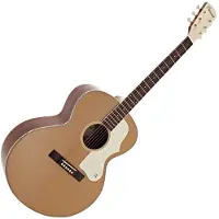 Hartwood Century Jumbo Acoustic Guitar Gold