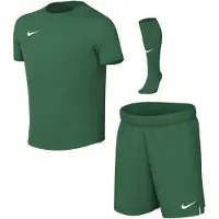 Nike Dri-FIT Park VIII Tenue Kleuters Donkergroen Wit