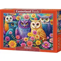 Castorland Puzzel 3000 Stukken: Bloeiende Uil Ontmoeting