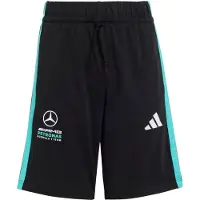 Adidas Sportbroek 'Mercedes-AMG Petronas Formula 1' turquoise / zwart / wit