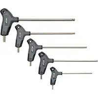 Bbb Cycling Hex-T 6 mm - Inbussleutel met T-Hendel - Professioneel Fietsgereedschap - Ergonomisch - Kogelkop - BTL-45