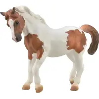 Collecta PINTO CHINCOTEAGUE PONY Figur
