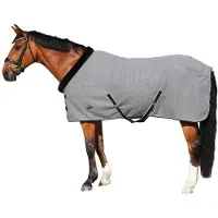 Euroriding Fleece Rug met Teddykraag 195 Grijs