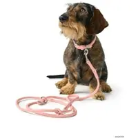 Hunter Verstelbare Hondenriem Soho Round Mini Roze 200 cm