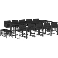 vidaXL 15-delige Tuinset met kussens poly rattan zwart
