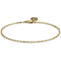 Lucleon Essentials | 2 mm Goudkleurige Armband met Kabelschakels