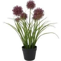 Countryfield Kunstplant Allium H60cm Paars paars Kunststof