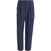 Adidas Outdoorbroek 'Xploric' marine