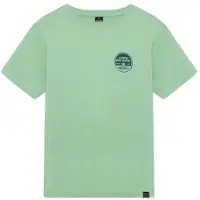 Indian blue jeans T-shirt met backprint groen Jongens Katoen Ronde hals - maat 140