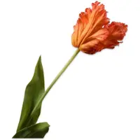 Silk-ka Kunstbloem-Zijden Bloem Tulp Steel Oranje-Rood 71 cm
