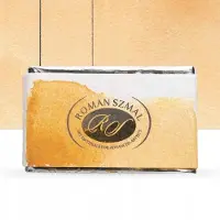Aquarius Aquarel Verf 110 Transparant Goud Oker