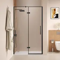 Saniclear Pure douchedeur 80cm zwart mat