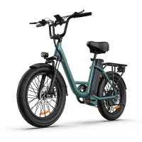 SmartAI 20 inch Elektrische fiets(155-195 cm) - 48V 13Ah Verwisselbare Accu tot 100KM -250 W motor - 20inch - LCD Scherm - 25 km/u - 7 Versnellingen - Elektrische Fietsen voor Heren en Dames - Groente