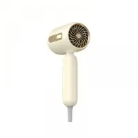 LONGZIMING -Salon Haardroger – Warme & Koude Lucht Haardroger met Negatieve Ion Technologie – Hoge Vermogen, Sneldrogend, Anti-Pluis – Compact, Licht en Draagbaar